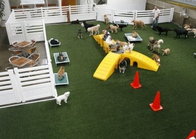 Dog Daycare K9Grass artificial turf