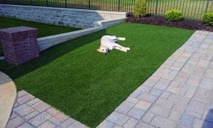 K9Grass artificial turf for dogs