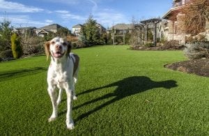K9Grass artificial turf for dogs installation