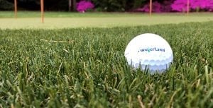 GolfGreens Artificial Turf putting green closeup