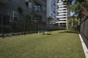 Dog play area K9Grass artificial turf