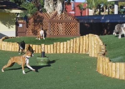 Dog Daycare K9Grass artificial turf