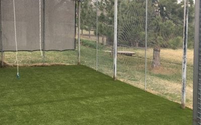 PROJECT: K9Grass Dog Run